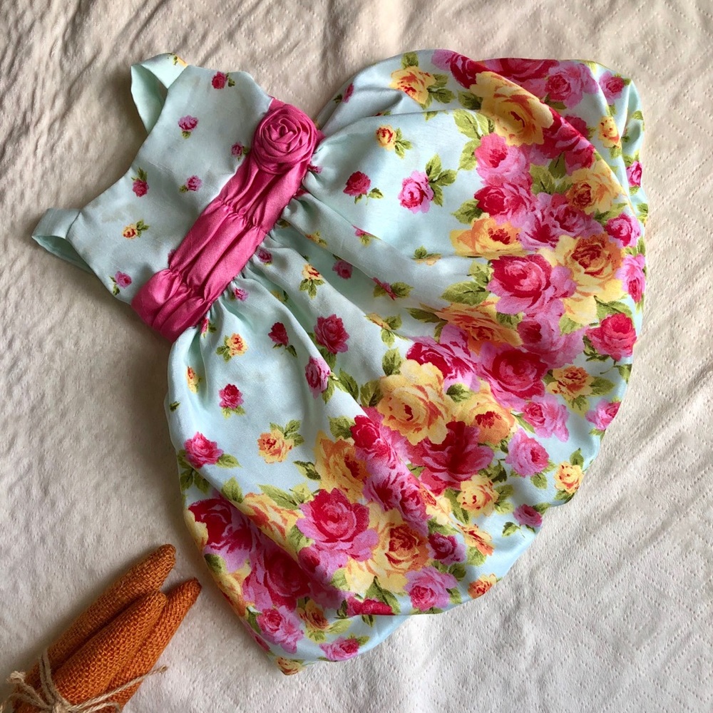 Light blue and floral princess dress!